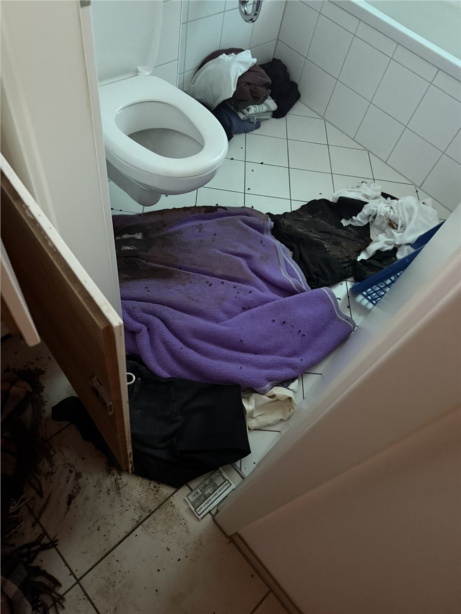 Vorschau eines Einsatzfotos